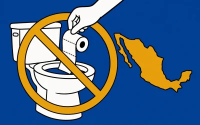 Can You Flush Toilet Paper in Mexico